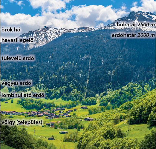 Tankönyv 144. oldal 1. ábra