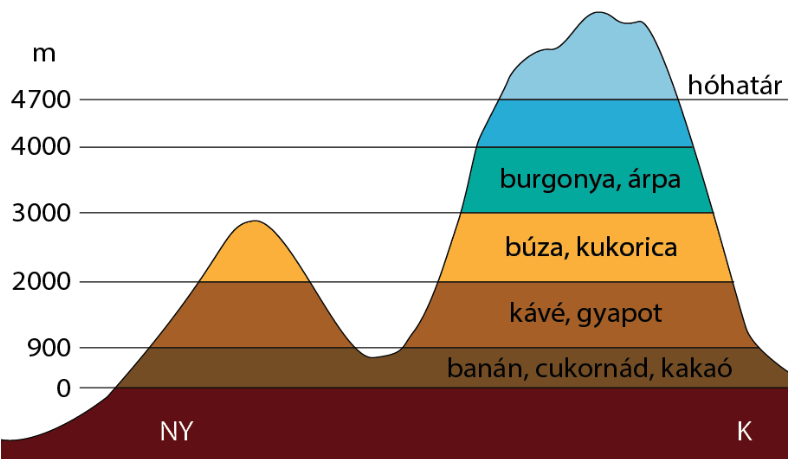 Termesztett növények az Andokban - Tankönyv 183. oldal 3. ábra